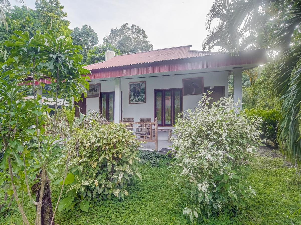 Oyo 90988 Tangkoko Jungle Homestay Rinondoran Exteriör bild