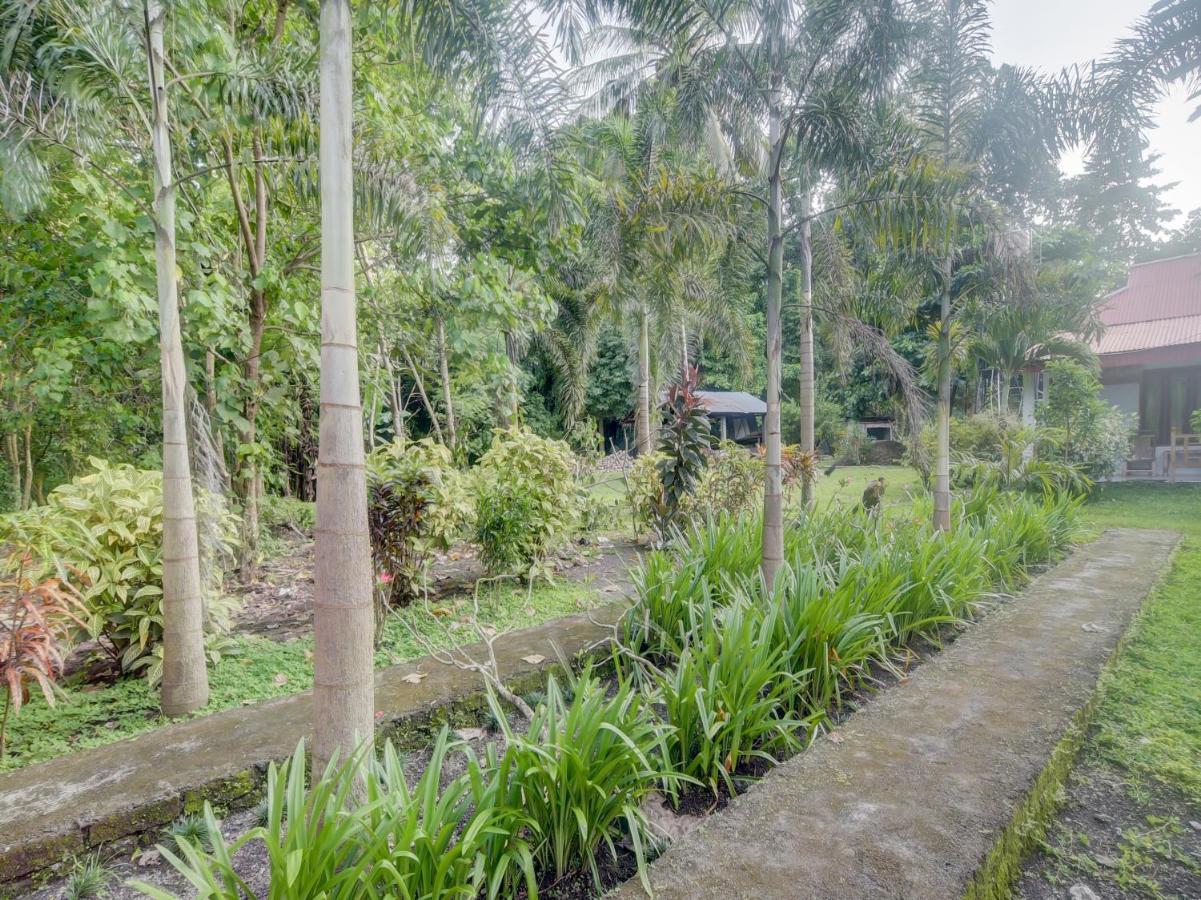 Oyo 90988 Tangkoko Jungle Homestay Rinondoran Exteriör bild