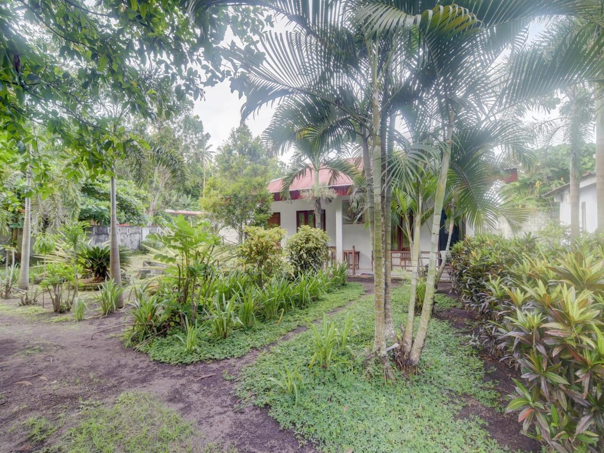 Oyo 90988 Tangkoko Jungle Homestay Rinondoran Exteriör bild