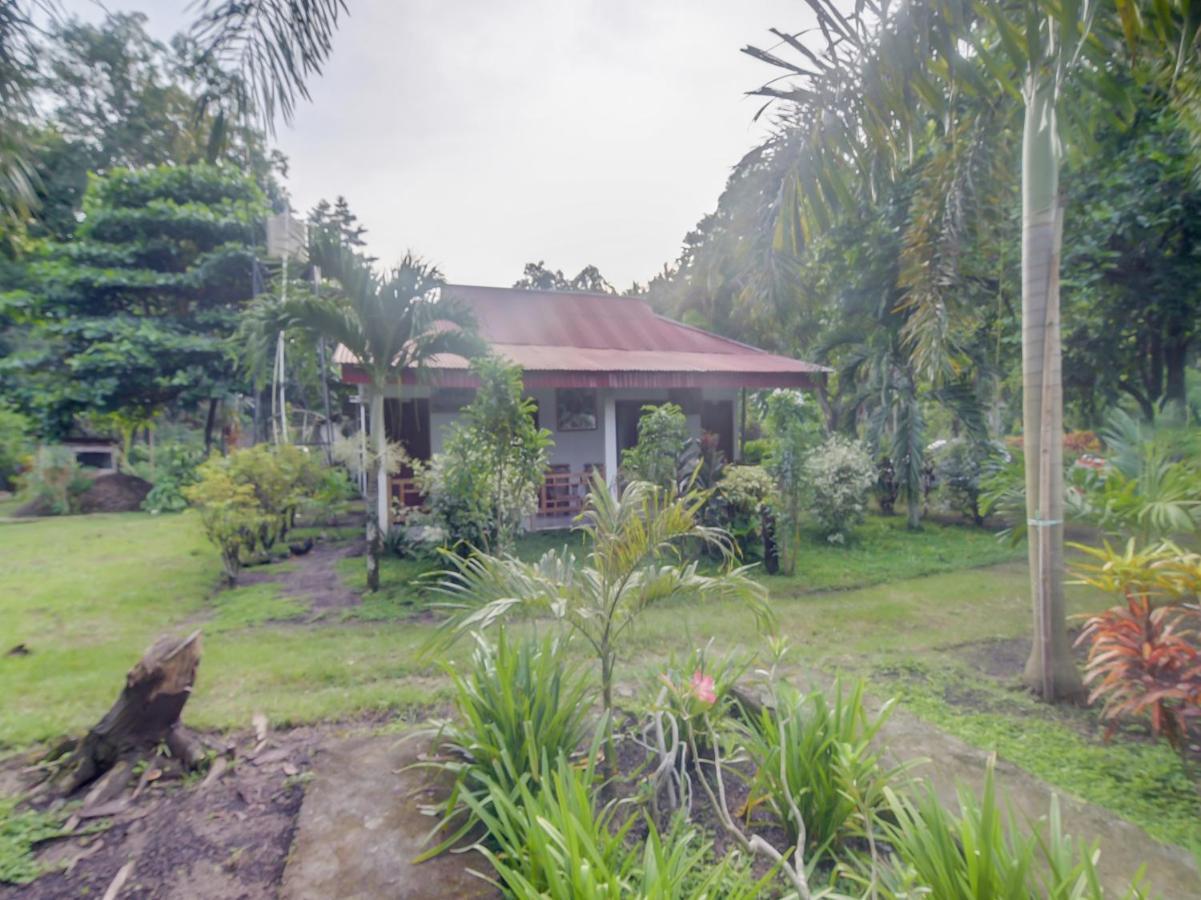 Oyo 90988 Tangkoko Jungle Homestay Rinondoran Exteriör bild